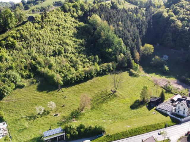 2 Aufgeschlossene Bauparzellen + 10.662 m² Landwirtschaft Dein Eigenes Stück Freiheit in Losenstein