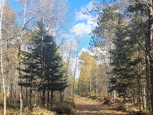 2 Acre Lot In Kazabazua For Sale