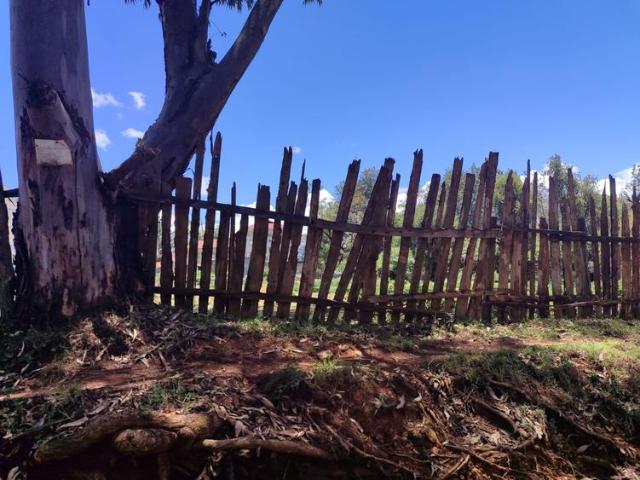 2 acre parcel nestled within the esteemed enclave of Elgon View