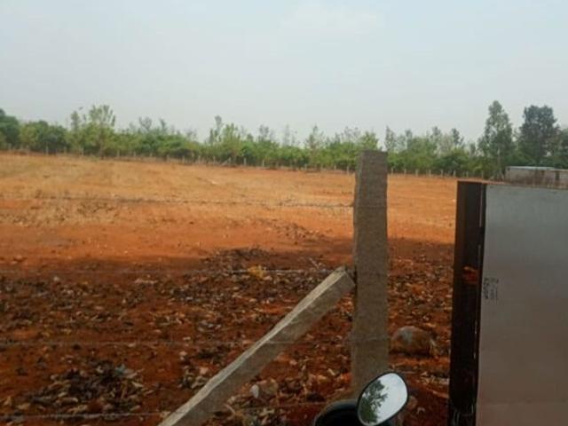 2 Acre Plot in Uganavadi Bangalore Listing ID: #10347