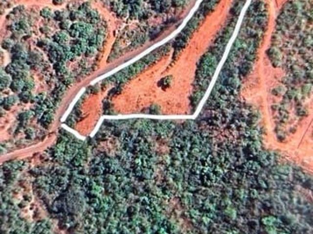 2 Acre Plot in Dapoli Ratnagiri Listing ID: #10200