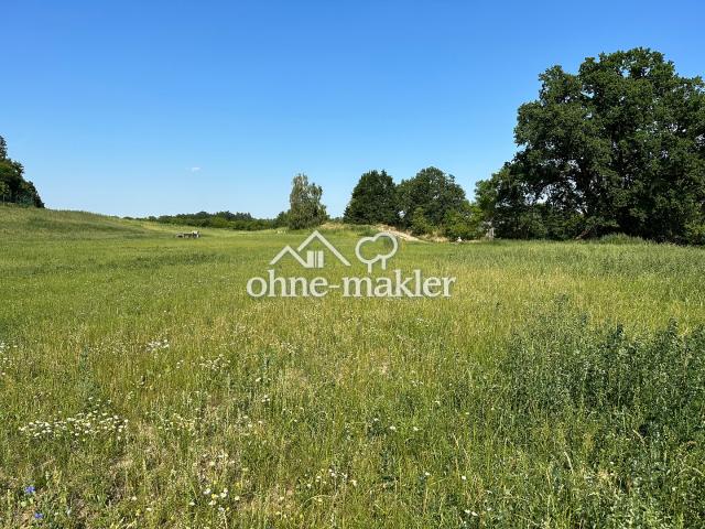 2 Baugrundstücke in Breetze