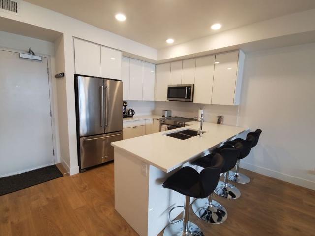 2 Bed + Den 2 1/2 Bath Luxury Condo: Avail Sept 1