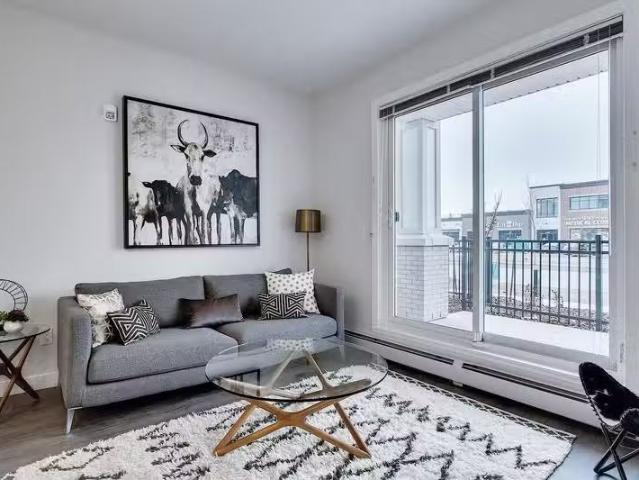 2 Bedroom 2 Bathroom Airdrie Apartment For Rent WATERVIEW a.