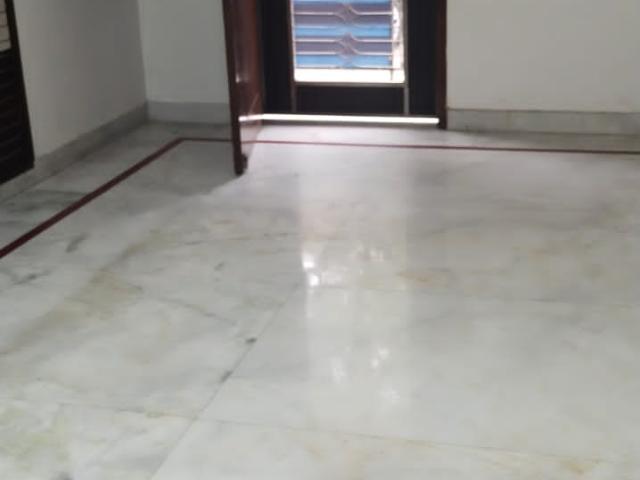 2 Bedroom 650 Sq.Ft. Builder Floor in Mayur Vihar Phase 1 Delhi Listing ID: #9503