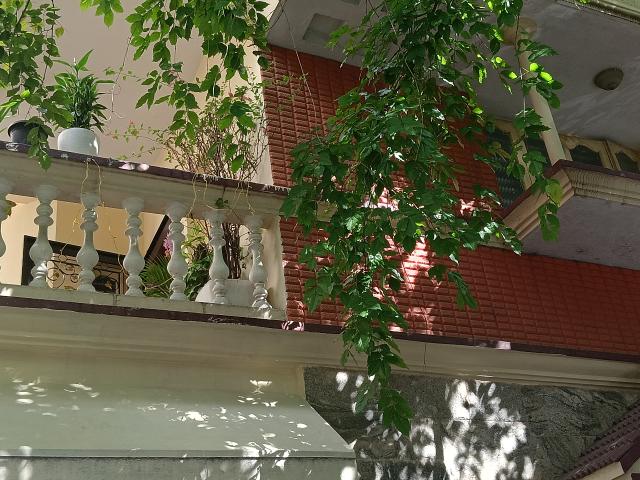 2 Bedroom 770 Sq.Ft. Builder Floor in Btm Layout 1 Bangalore Listing ID: #9861