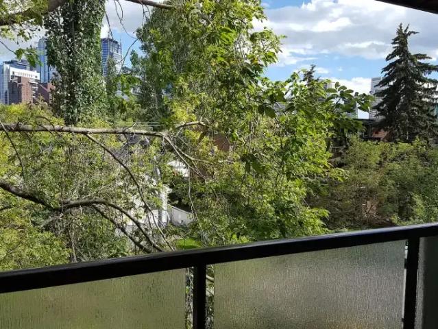 2 Bedroom Condo Calgary AB 104863841
