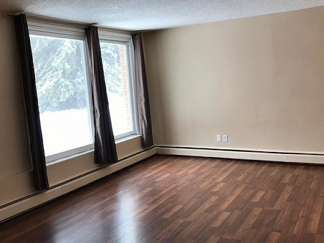 2 bedroom Condo Glenbrook
