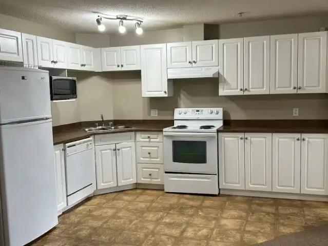 2 Bedroom Condo Edmonton AB 104178862