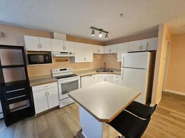 2 Bedroom Condo Edmonton AB 104180404