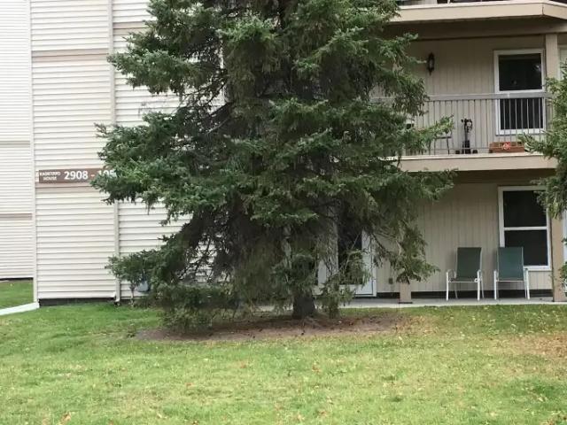 2 Bedroom Condo Edmonton AB 104434124