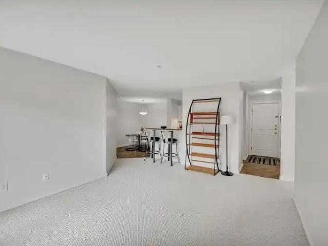 2 Bedroom Condo Edmonton AB 104638398