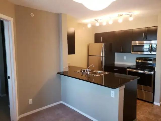 2 Bedroom Condo Edmonton AB 104638489