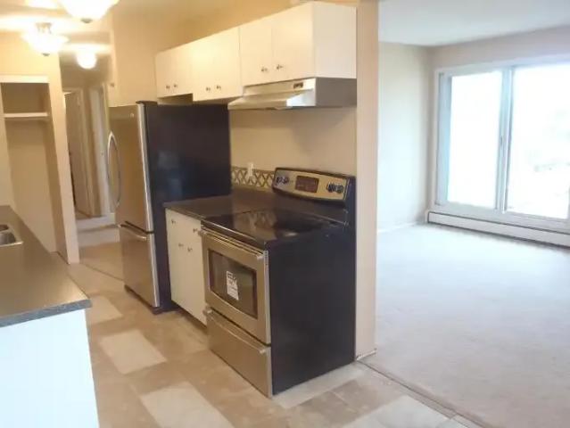 2 Bedroom Condo Edmonton AB 104941197