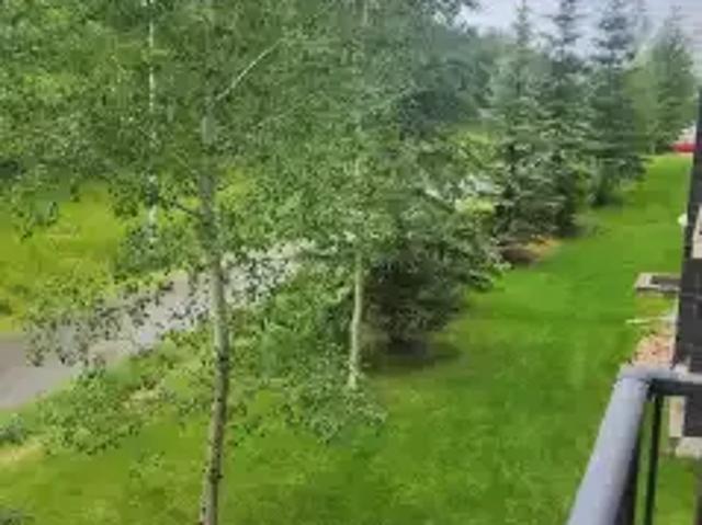 2 Bedroom Condo Edmonton AB 105185971