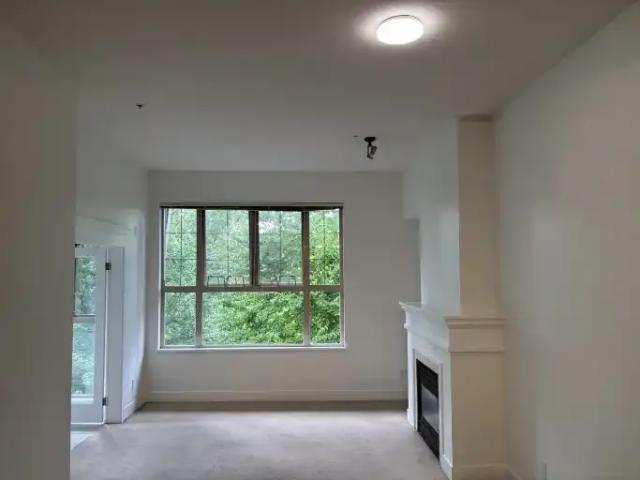 2 Bedroom Condo Vancouver BC 104794586