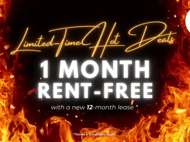 2 Bedroom Apartment North York ON 99504361