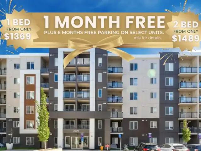 2 Bedroom Apartment Calgary AB 104066910