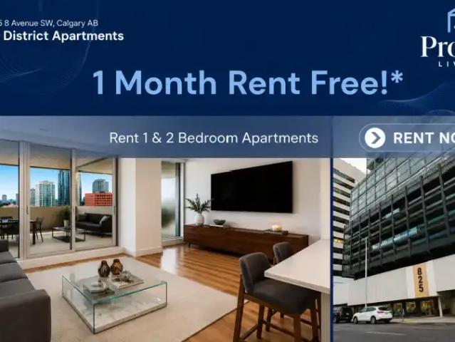 2 Bedroom Apartment Calgary AB 104362187