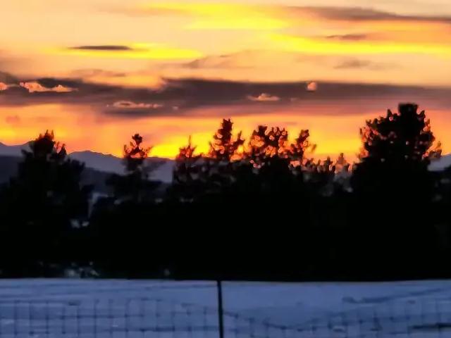 2 Bedroom Apartment Calgary AB 104782757