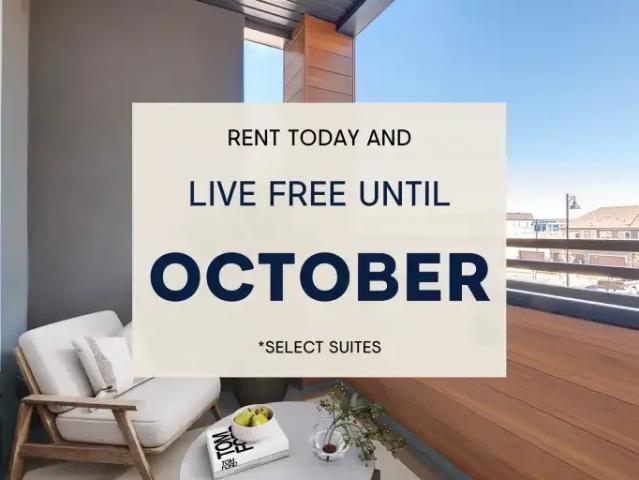2 Bedroom Apartment Calgary AB 105226174