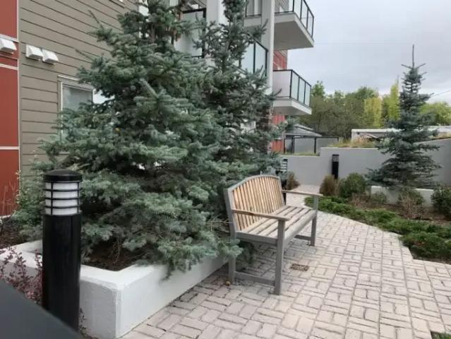 2 Bedroom Apartment Calgary AB 101338238