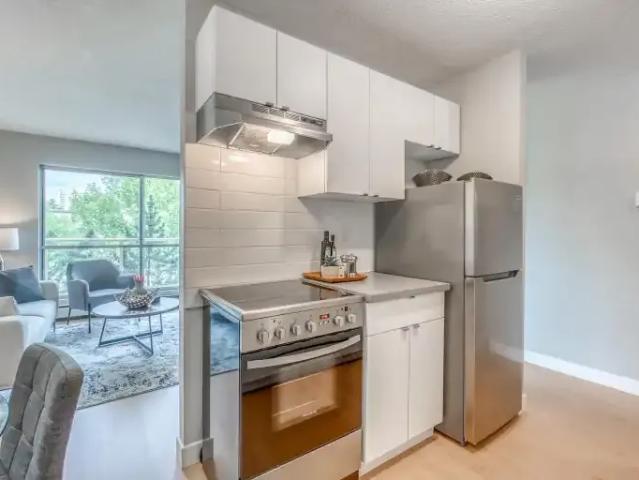 2 Bedroom Apartment Calgary AB 103652746