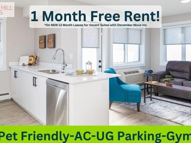 2 Bedroom Apartment Calgary AB 98311056