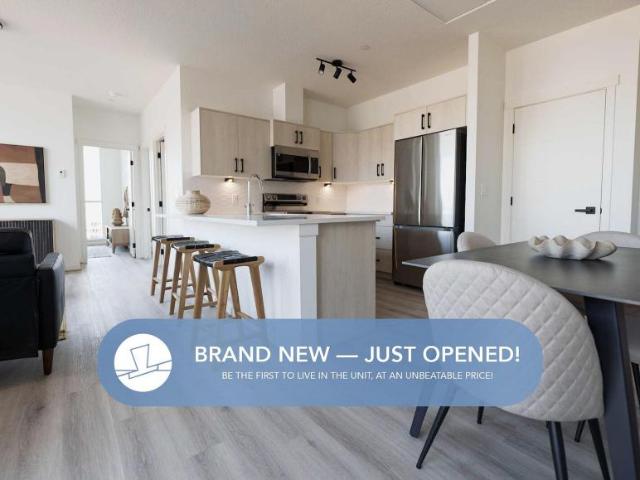 2 Bedroom Apartment Calgary AB LS98315103