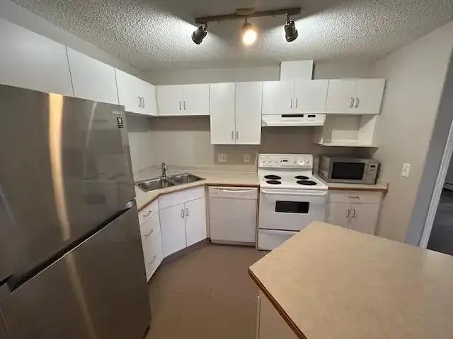 2 Bedroom Apartment Edmonton AB LS103011572