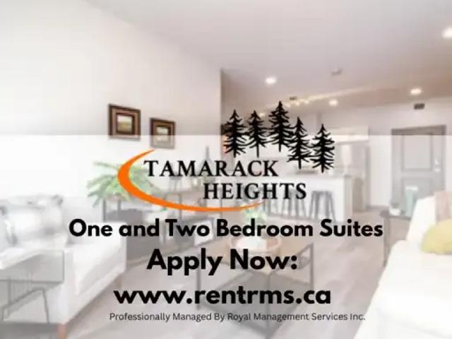 2 Bedroom Apartment Edmonton AB LS99557685