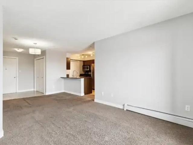 2 Bedroom Apartment Edmonton AB LS99303981