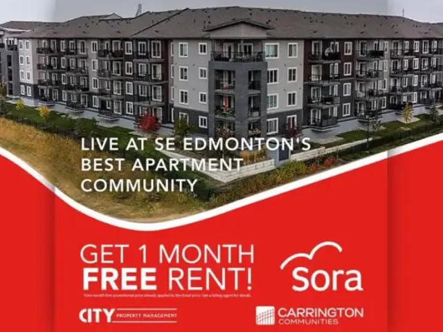 2 Bedroom Apartment Edmonton AB 101215626
