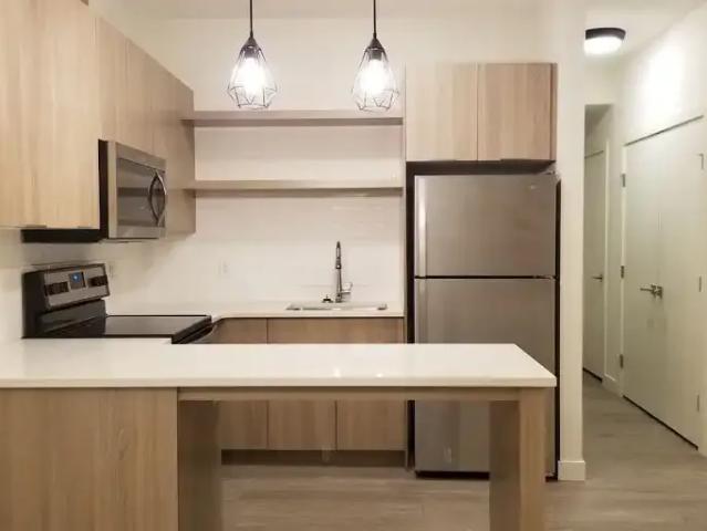 2 Bedroom Apartment Edmonton AB 101440682