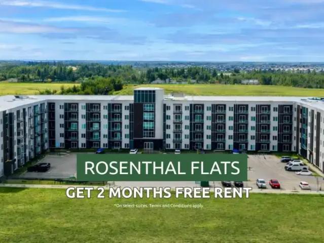 2 Bedroom Apartment Edmonton AB 101986222
