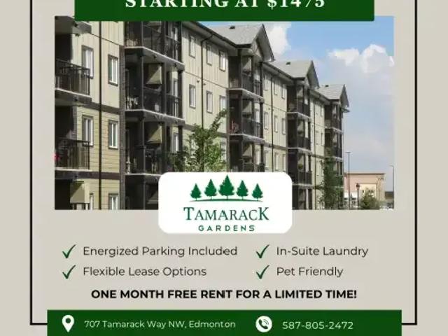 2 Bedroom Apartment Edmonton AB 102203459