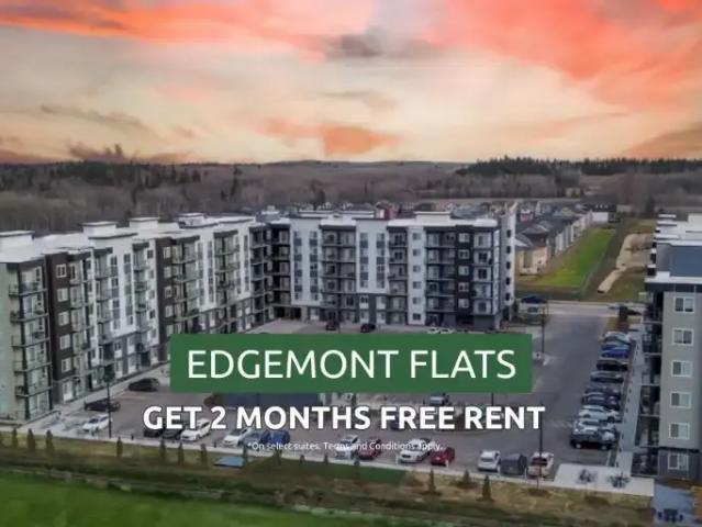 2 Bedroom Apartment Edmonton AB 102338971