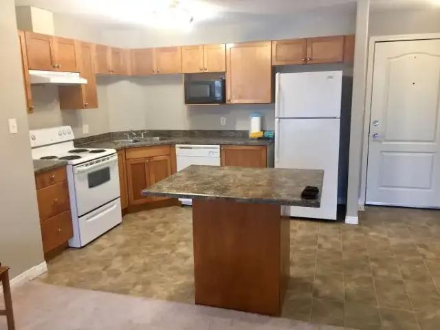 2 Bedroom Apartment Edmonton AB 102658471