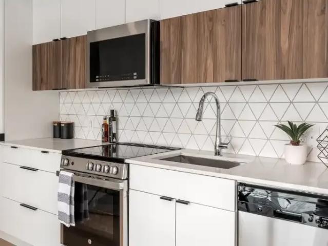 2 Bedroom Apartment Edmonton AB 103090891