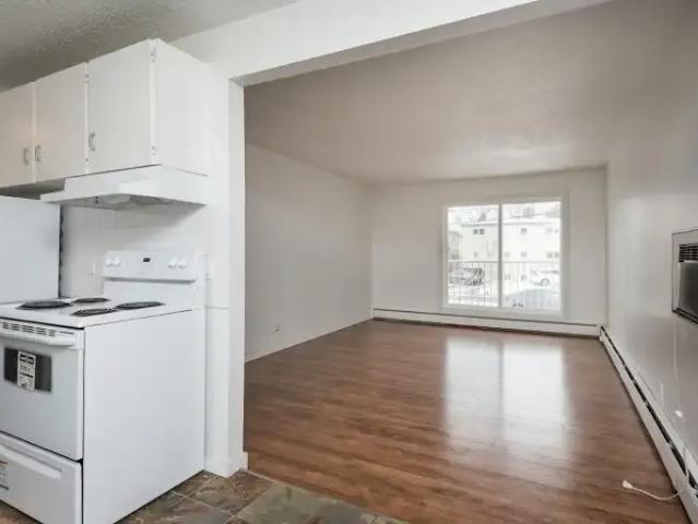 2 Bedroom Apartment Edmonton AB 103322471