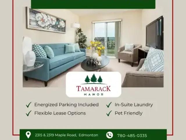 2 Bedroom Apartment Edmonton AB 103337644