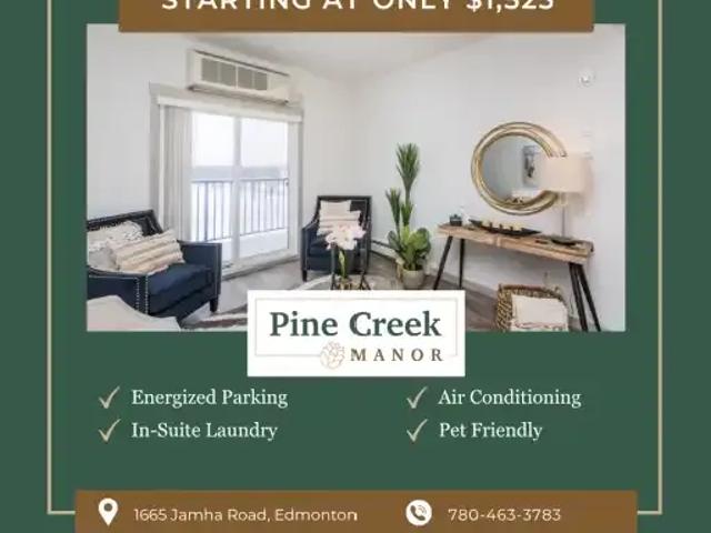 2 Bedroom Apartment Edmonton AB 103337648