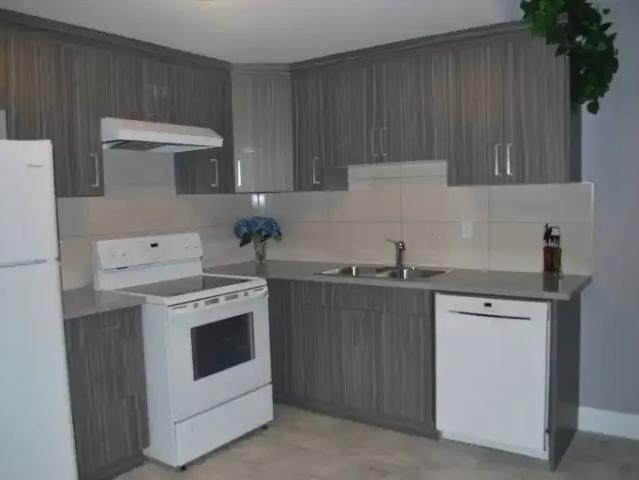 2 Bedroom Apartment Edmonton AB 103410768