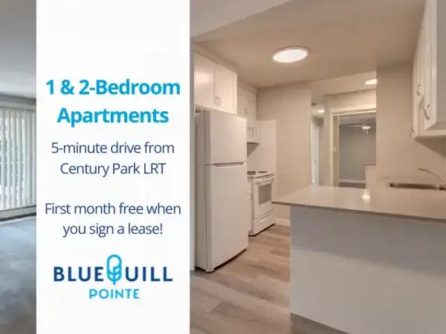 2 Bedroom Apartment Edmonton AB 103957920