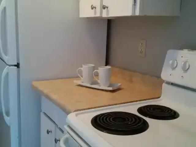 2 Bedroom Apartment Fergus ON LS100707389