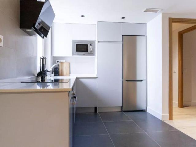 2 bedroom apartment for rent in Nueva España, Madrid, for professionals and students, no pets