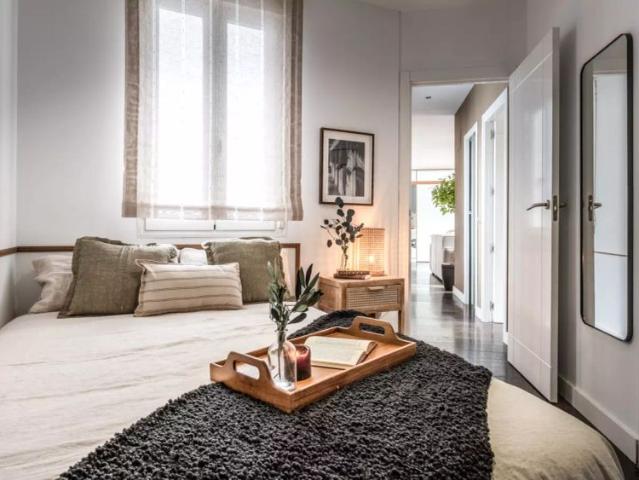 2 bedroom apartment for rent in Almagro, pets allowed