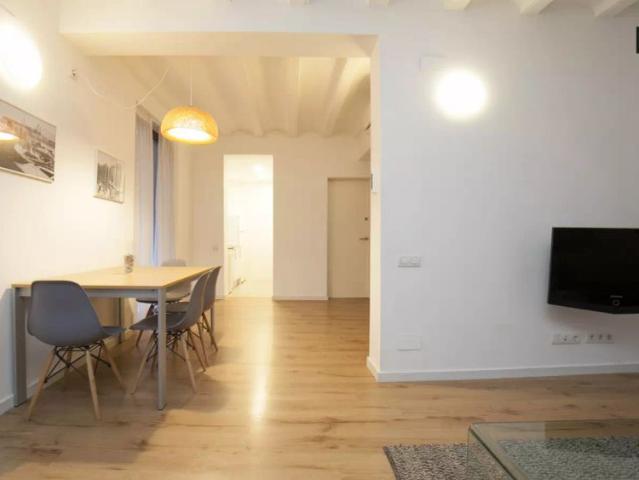 2 bedroom apartment for rent in El Gòtic, professionals only