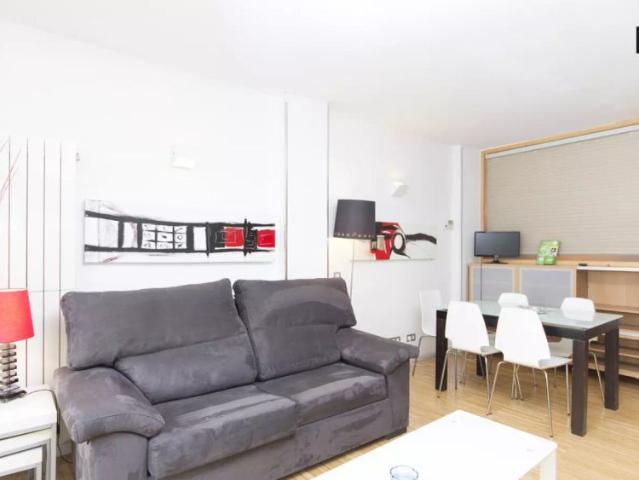 2 bedroom apartment for rent in Embajadores, Madrid for professionals and students