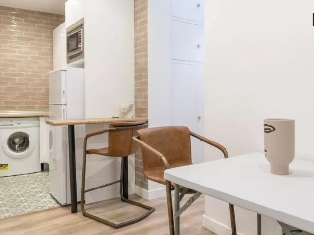 2 bedroom apartment for rent in Embajadores allowing pets and smoking